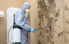 Mold Removal for HVAC Installations in Bloomfield, IA